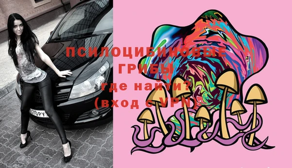 стаф Абаза