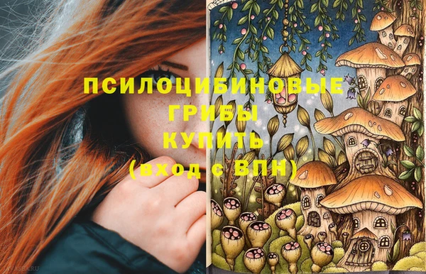 бутират Карталы